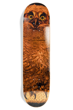 Load image into Gallery viewer, Jacuzzi Unlimited Michael Pulizzi Hoo Deck 8.375"