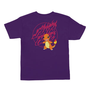 Santa Cruz Pokemon Fire Type 1 Youth T-Shirt Purple