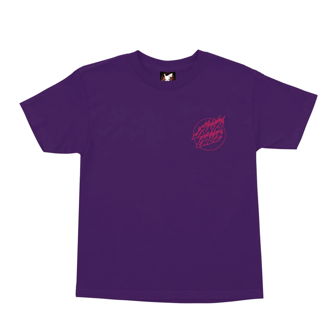 Santa Cruz Pokemon Fire Type 1 Youth T-Shirt Purple
