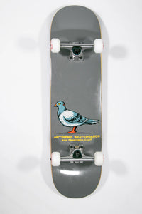 Antihero Team Pigeon DLX Complete 8.25"