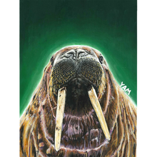 Load image into Gallery viewer, Yam Skateboards Walrus Deck 8, 8.25, or 8.5"
