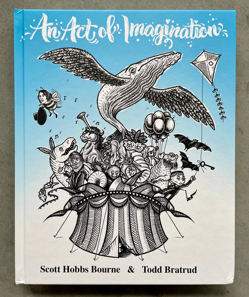 An Act of Imagination Hardcover Book