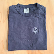 Load image into Gallery viewer, Despite Skateboards &quot;Brody&quot; T-Shirt Grey
